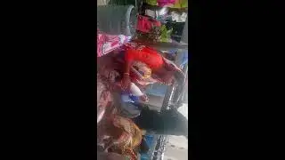 Women Fish Cutting Videos -Amazing Fish Fillet-Amazing Fish Fillet-Fish Cutting And Cleaning