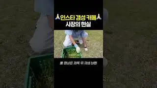 인스타 갬성 카페 사장의 현실 #shorts
