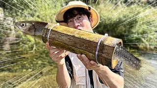 '대나무통발'로 대왕 물고기를 잡았습니다!