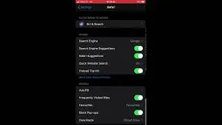 How to clean browsing history and cache settings in IPhone Safari browser