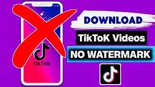 How to DOWNLOAD TikTok Video Without Watermark