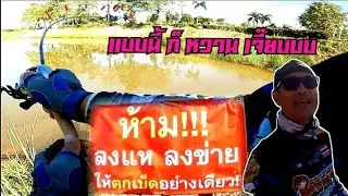 แบบนี้ก็หวานเจี๊ยบ..??..!! เท็ก​ซัส​ริก​ ตามหาปลาช่อน อ.ปางศิลาทอง #น้า​ศาล​_เบ็ด​ซิ่ง​