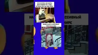 Мемасы🤣 #мемы #приколы #смех