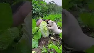 A beautiful moment 