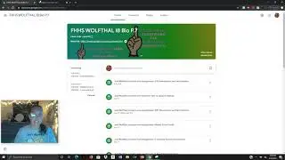 Google Meet- Screen Sharing