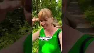 11 июля 2024 г.