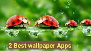 Best Wallpaper Apps for Android