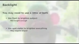 Digital Photography Tips: Backlight Scenes