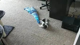 blankey mode