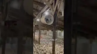 Could You Imagine Living Here?