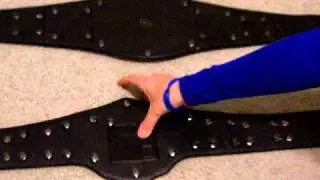 U.S. and WWE Championship Comparison