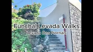 Levada Walks in Funchal: Levada Dos Piornais