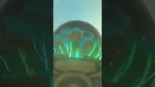 How to get Stick Control steering wheel in - Zelda Tears of the Kingdom