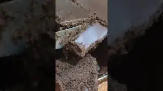 Best Fudgy Brownie with Chocolate Mousse