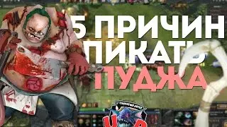 5 ПРИЧИН ПИКАТЬ ПУДЖА