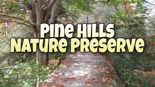 Pine Hills Nature Preserve | Indiana Hidden Gem
