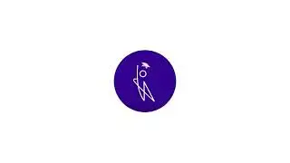 Logo/intro animation