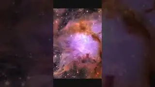 OLHEM ESSAS IMAGENS
