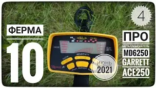 ФЕРМА 10. Часть 4. КОП 2021 с MD6250 (ACE250). Отзыв про металлоискатель МД6250