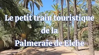 La Palmeraie de Elche en petit train touristique