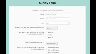 Survey Form nice and easy (2020)