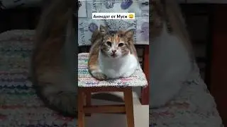 Просто анекдот 👍