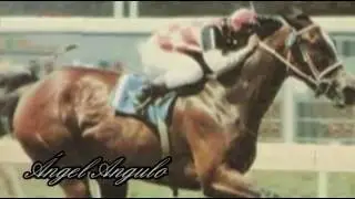 Mini biografía de Ángel Angulo, jockey muy efectivo.