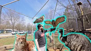 The Best Zoo You HAVE'NT Heard Of (@AnimalAdventuresMA )