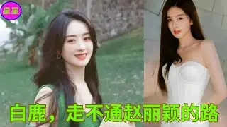 白鹿，走不通赵丽颖的路