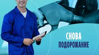 Снова подорожание: как снизить расход топлива?