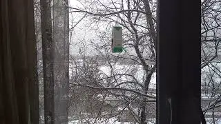 Кормушка для птичек