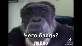 21 сентября 2021 г.