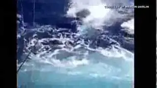 350 pound marlin hops into fishing yacht.