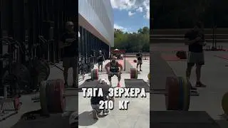 Тяга Зерхера. Пробовали?💪🏻 #shorts #sports