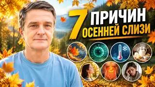 Runny nose, mucus, and fatigue in the fall: it’s not always a cold | 7 reasons