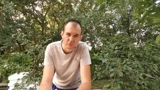 Матка с изолированного облетника Ламенка