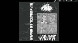Self-Mutilation - split with Hacked Apart