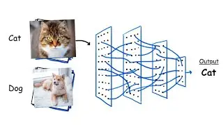 06 - الدورة الكاملة للتعلم العميق : تصنيف الصورImage Classification