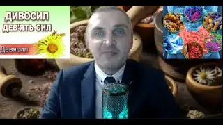 ДЕВЯСИЛ. УНИКАЛЬНЫЕ, ЦЕЛЕБНЫЕ СВОЙСТВА И РЕЦЕПТЫ