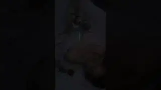 Que ideia genial, veja até o final 😍
