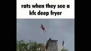 random video i found on discord #15