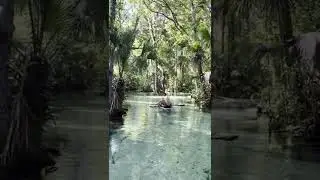 Florida's Best Kayak Spot? Rock Springs Run in Clear Kayaks