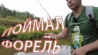 ФОРЕЛЬ В БЕЛАРУСИ! Ловля на спиннинг в лесной речушке. Радужная ФОРЕЛЬ.