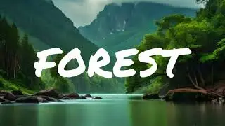 [FREE] 50 Cent x 2000s x Hip Hop/Oldschool Type Beat 2024 - "FOREST"