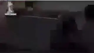 ٥ مارس، ٢٠١٩