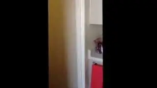 Random video at dorm