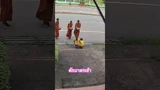 ทำบุญตักบาตรเช้ากัน