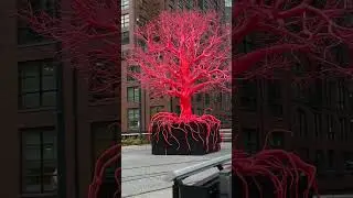 Things to do in New York City:  Old Tree art installation on the High Line.  #nyc #nycvlog