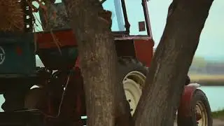 Молдавский хит