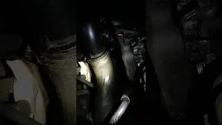 Осмотр 